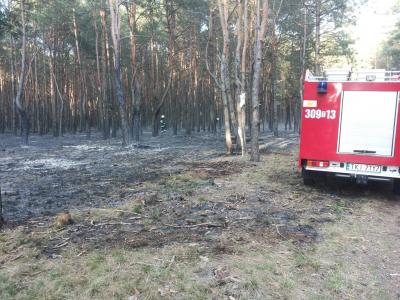 27. Pożar poszycia leśnego - Tokarnia