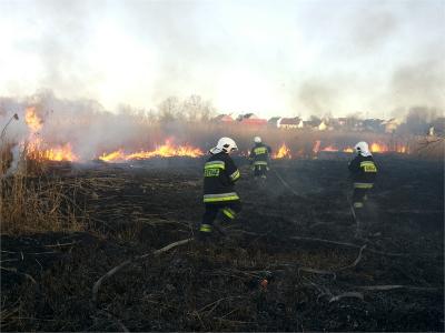 44. Pożar traw - Wolica ul. Laskowa