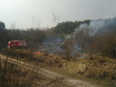10. Pożar traw - Wolica ul. Ostrowska
