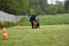 dsc_0751_t1.jpg