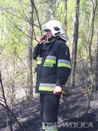 2009_pozar_posz_lesnego_polich_5.jpg