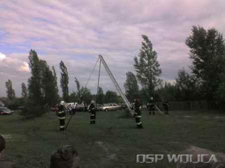 obraz_0146.jpg