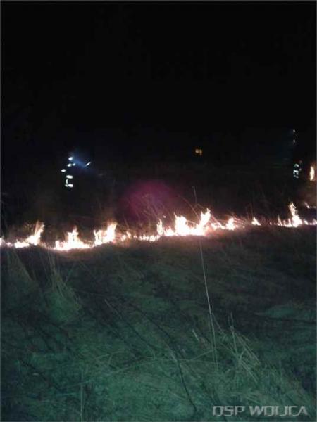 20150321_224424.jpg