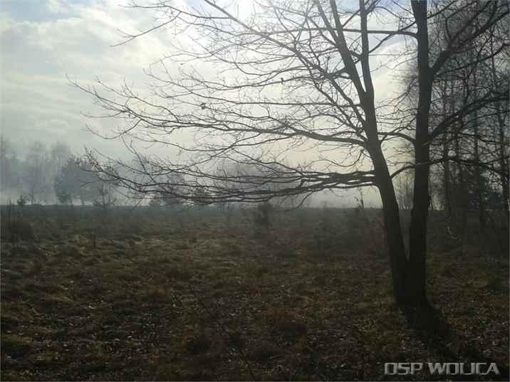20170305_130659.jpg
