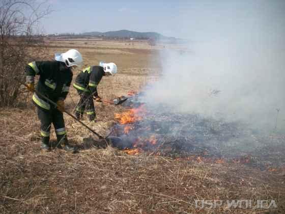 2011_pozar_trawy_radkowice_06.jpg