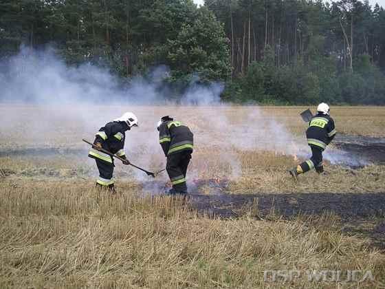 2011_pozar_scierniska_lukowa_0_1.jpg