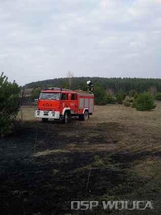2010_pozar_traw_podpolichno_15.jpg