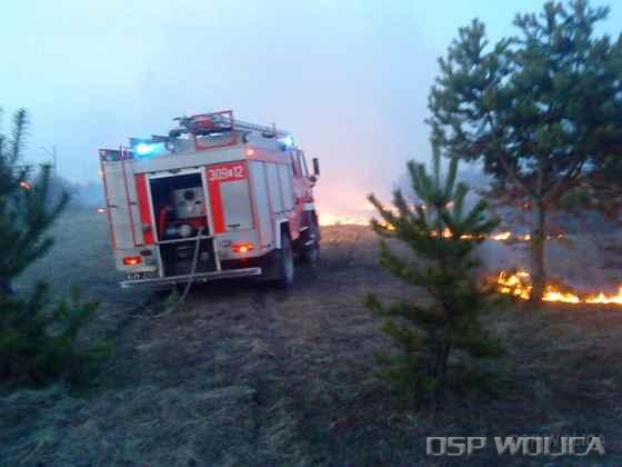2010_pozar_trawy_zarosli_tokar.jpg