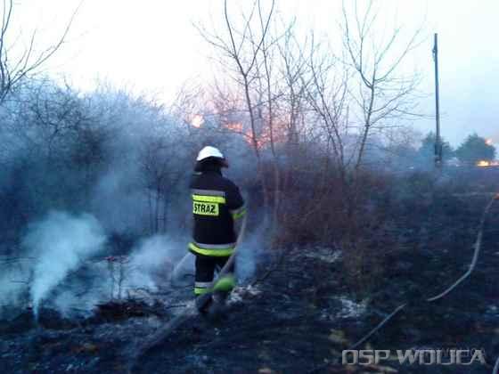 2010_pozar_trawy_zarosli_tokar_6.jpg