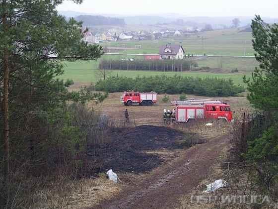2010_pozar_poszycia_trawy_poli_8.jpg